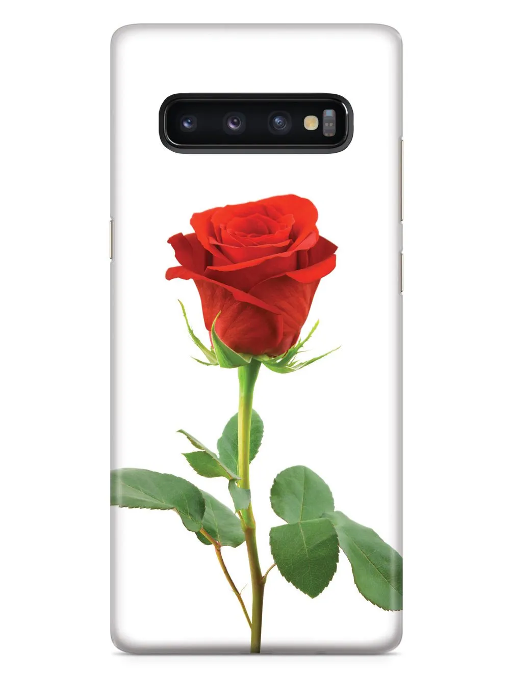 Beautiful Rose - White Case