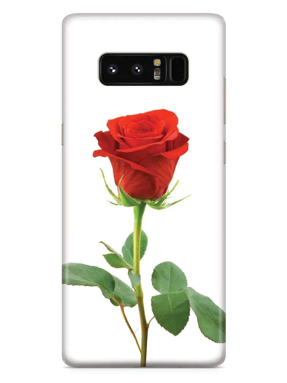 Beautiful Rose - White Case