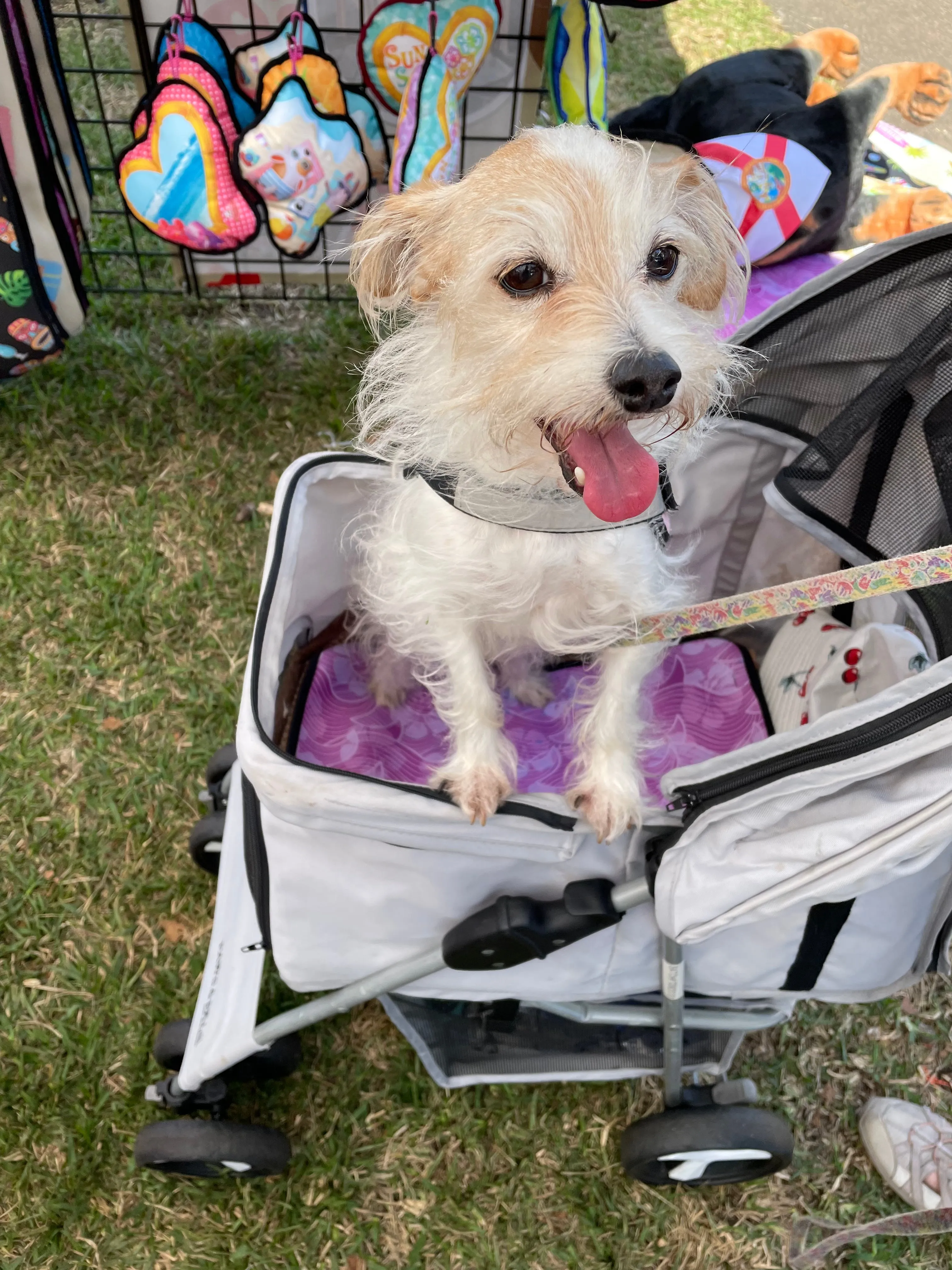 Carrier/Shopping Cart/Stroller Pad