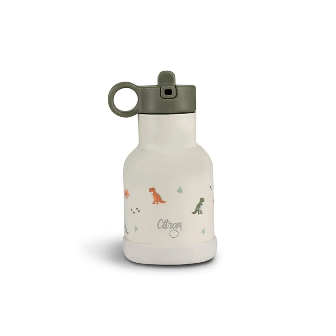 Citron Stainless Steel Insulated Water Bottle - Dino