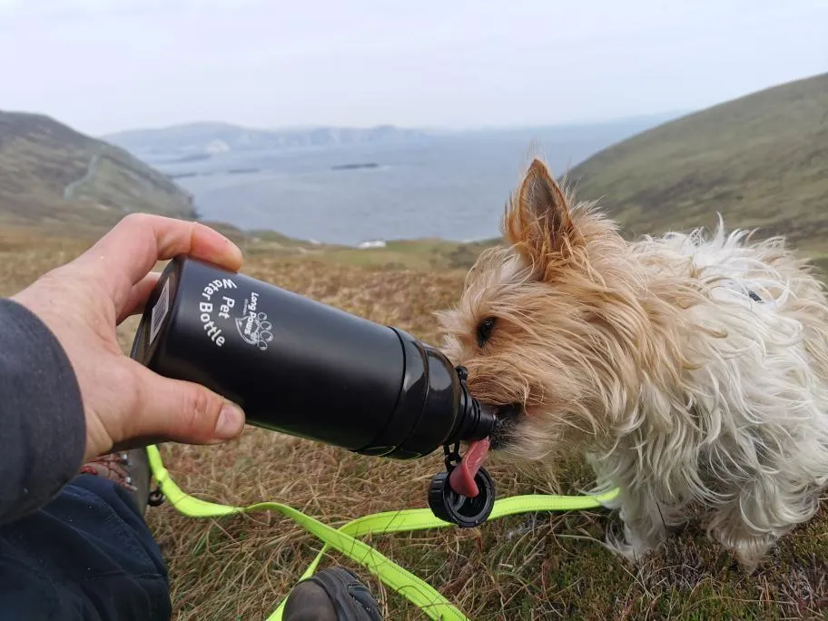 Dog Water Bottle, Lick 'n Flow, Black