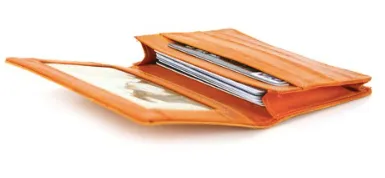 Eel skin Card Wallet - Mia