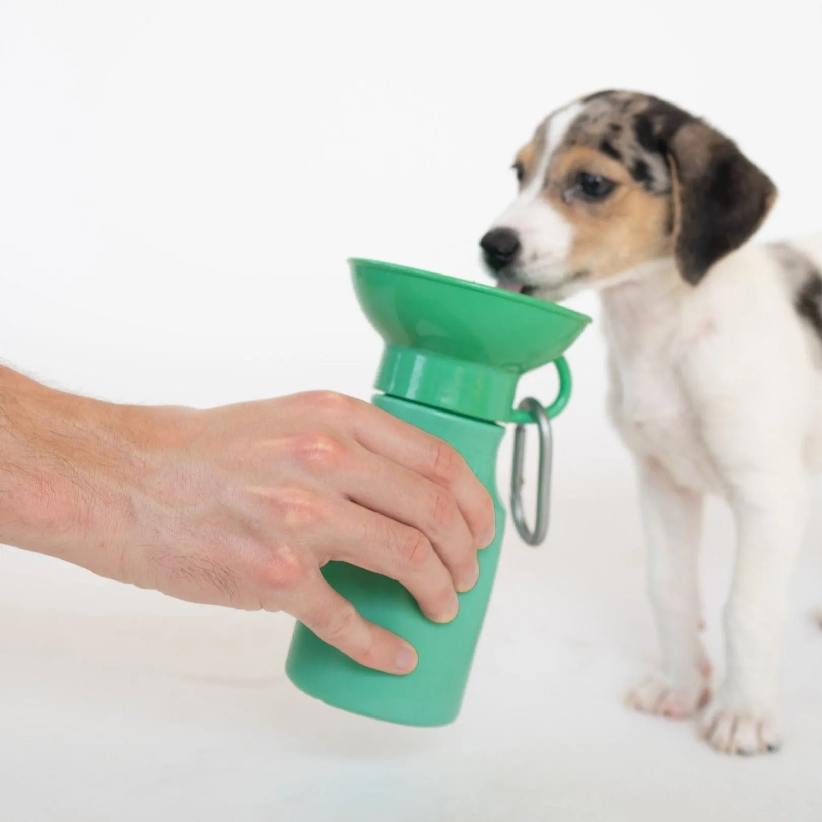 Mini Dog Travel Bottle