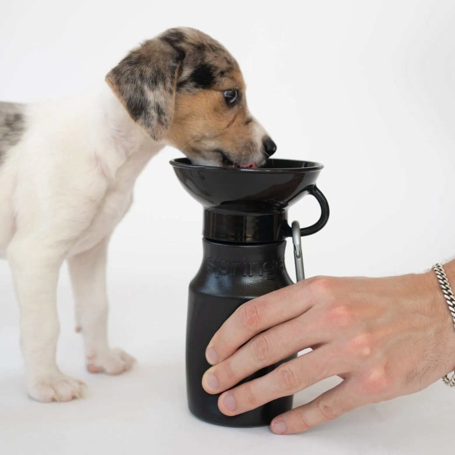 Mini Dog Travel Bottle