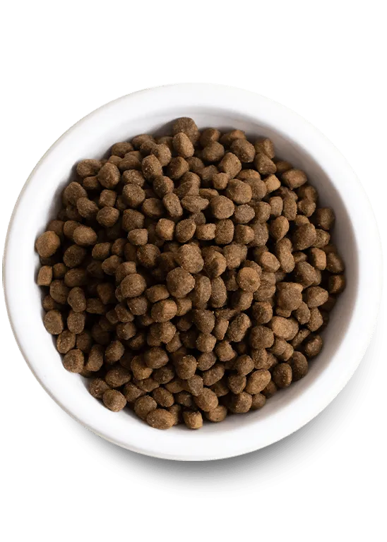 Open Farms Ancient Grains Puppy Food