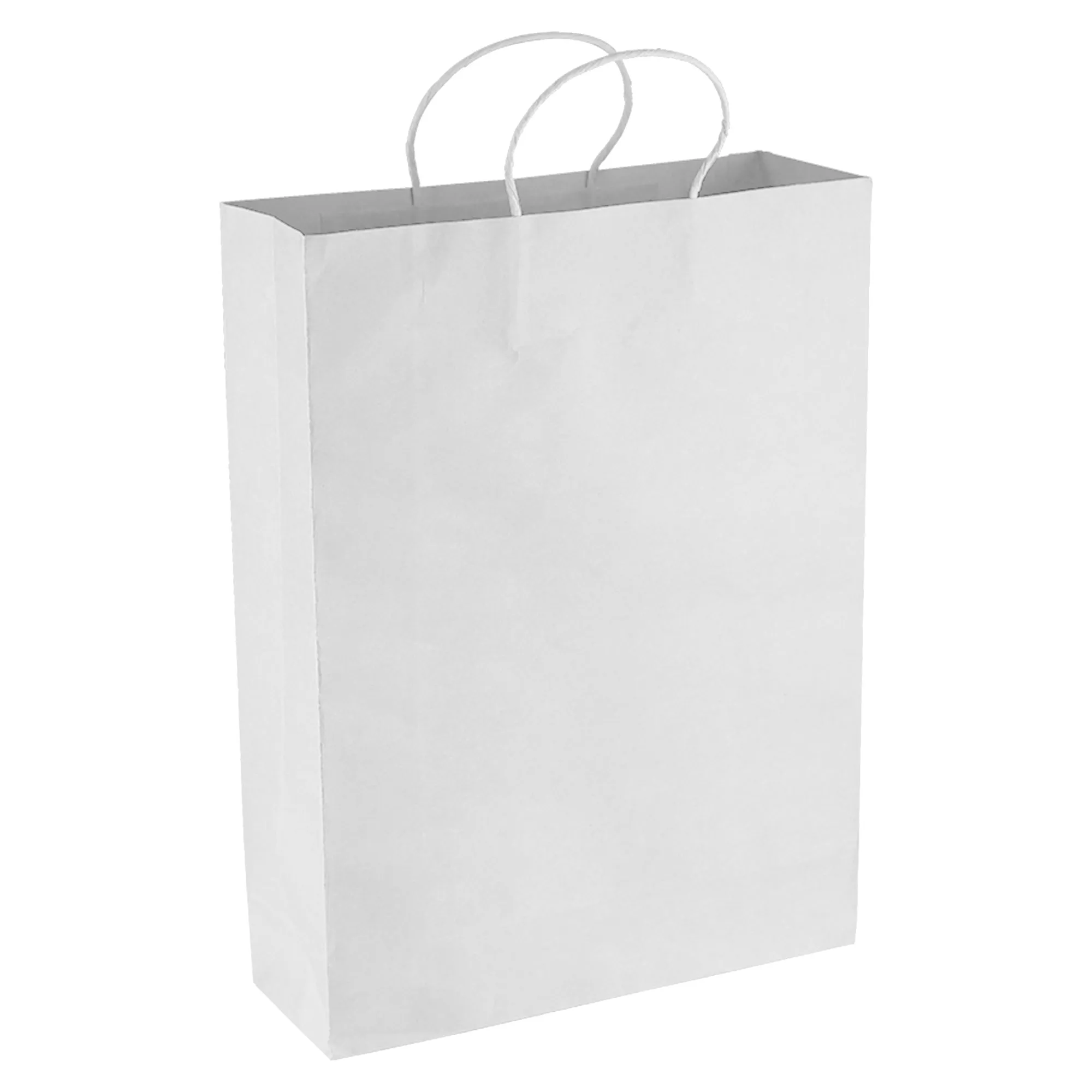 Paper Kraft Shopping Bag PPB007