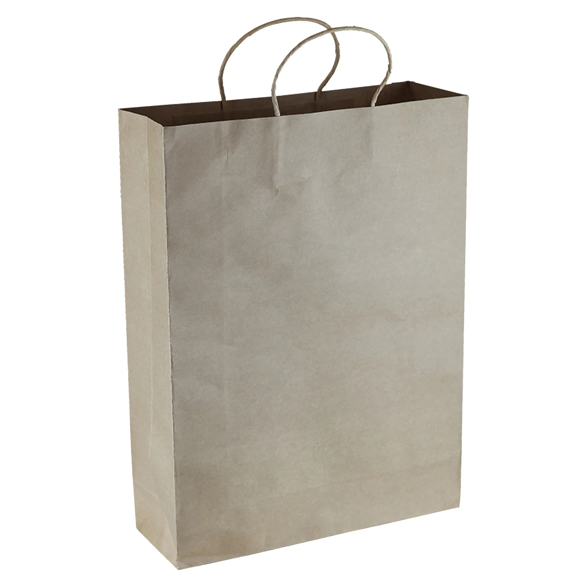 Paper Kraft Shopping Bag PPB007