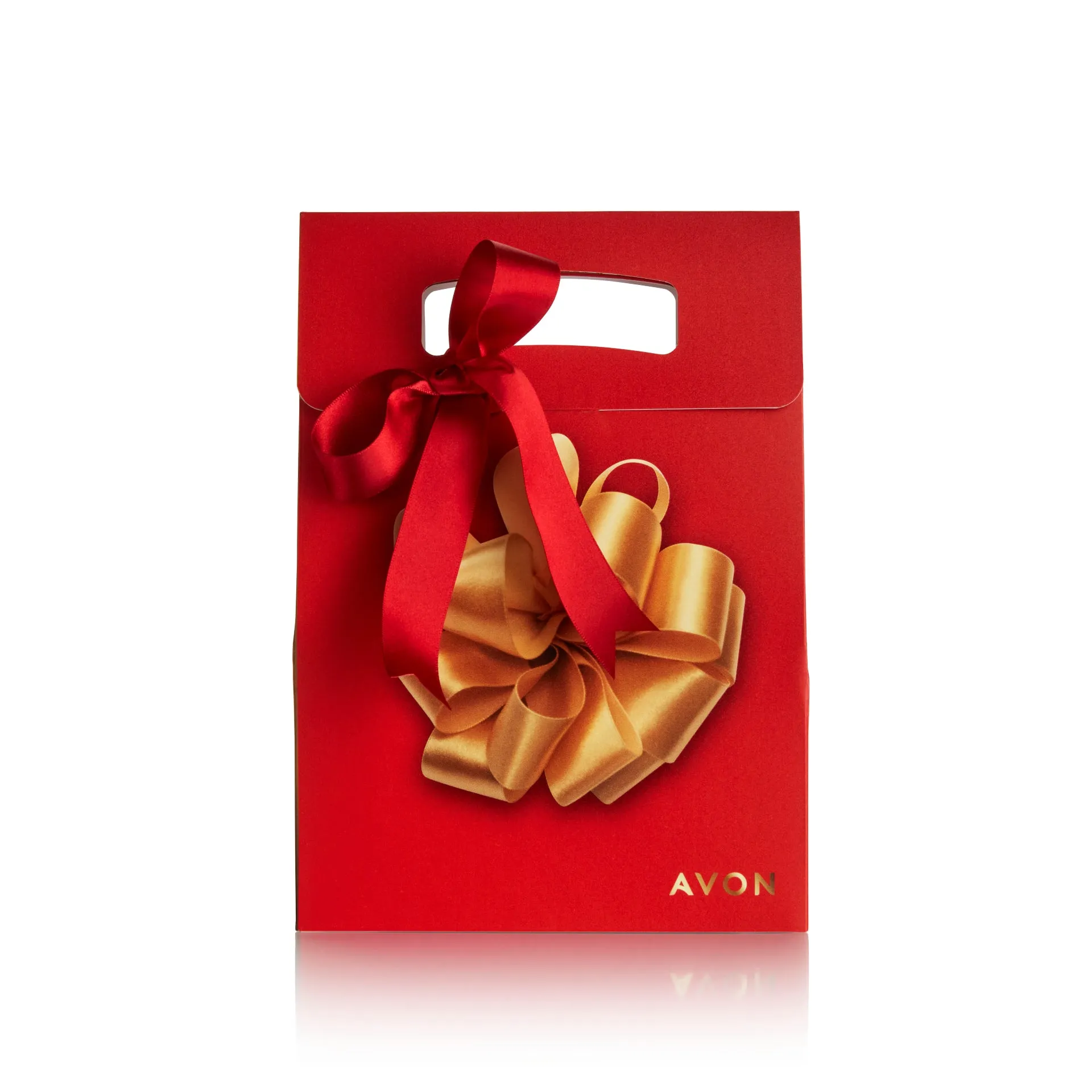 Red Christmas Gift Bag