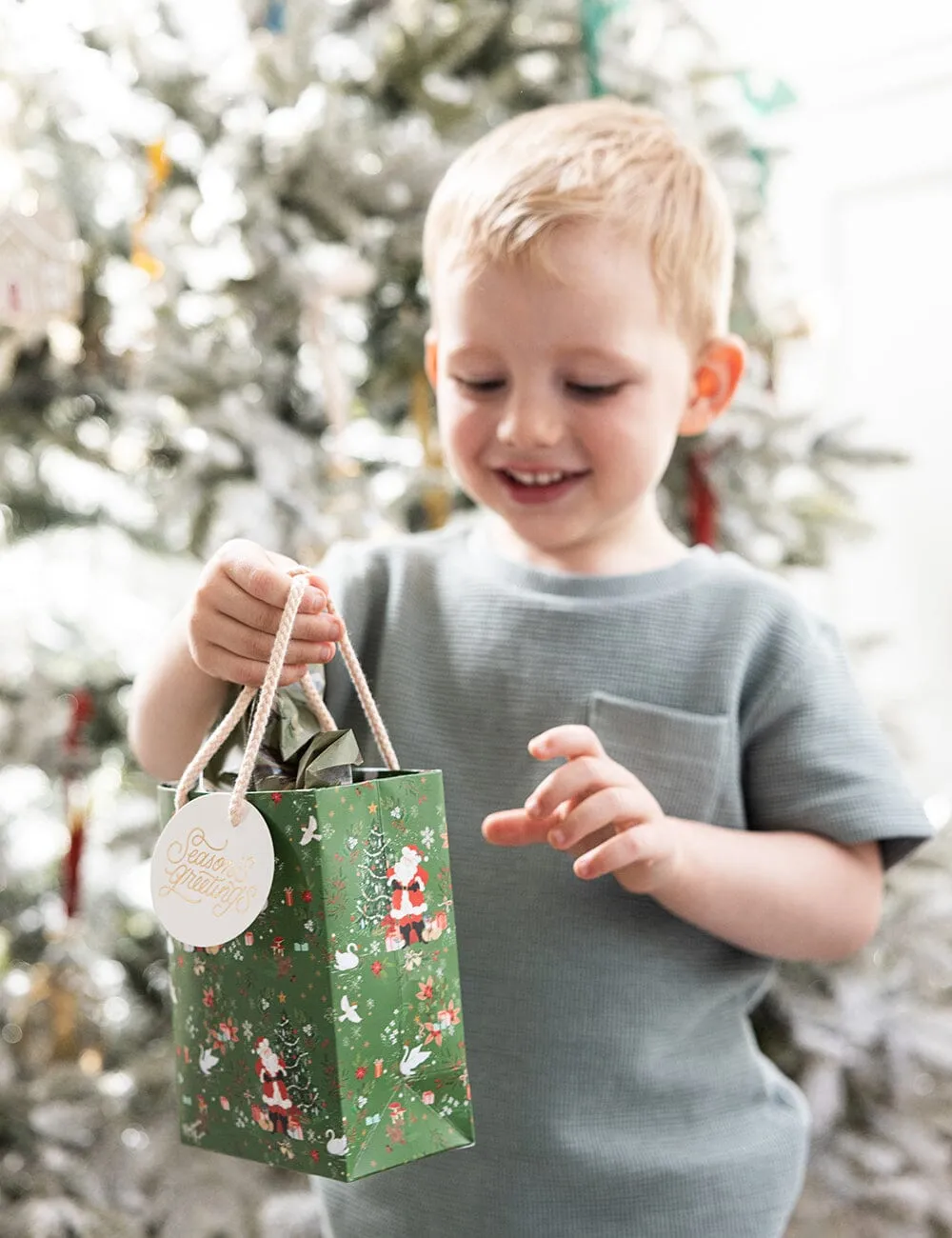 Small Christmas Gift Bag - Santas Wonderland