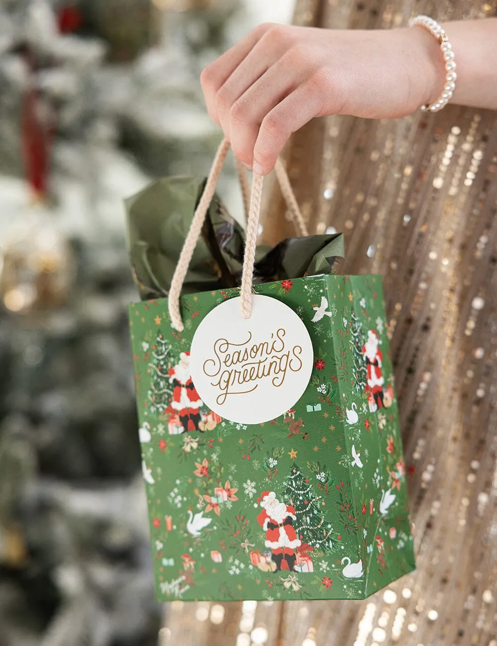 Small Christmas Gift Bag - Santas Wonderland