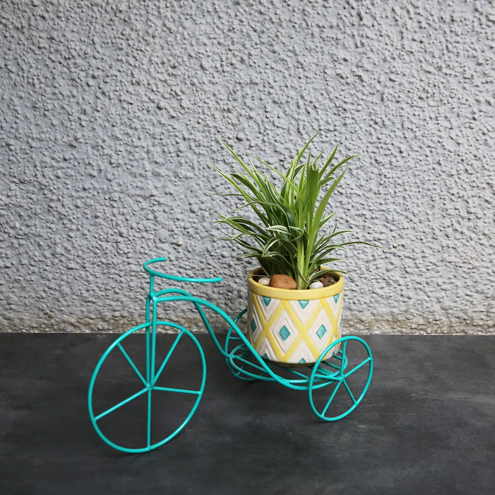 Small Cycle Planter (Single)