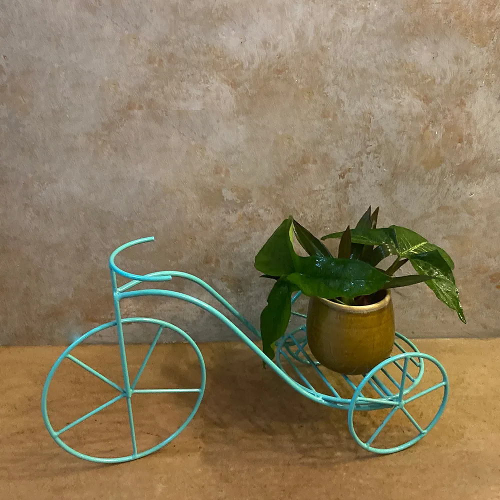 Small Cycle Planter (Single)