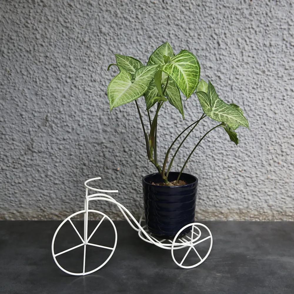 Small Cycle Planter (Single)