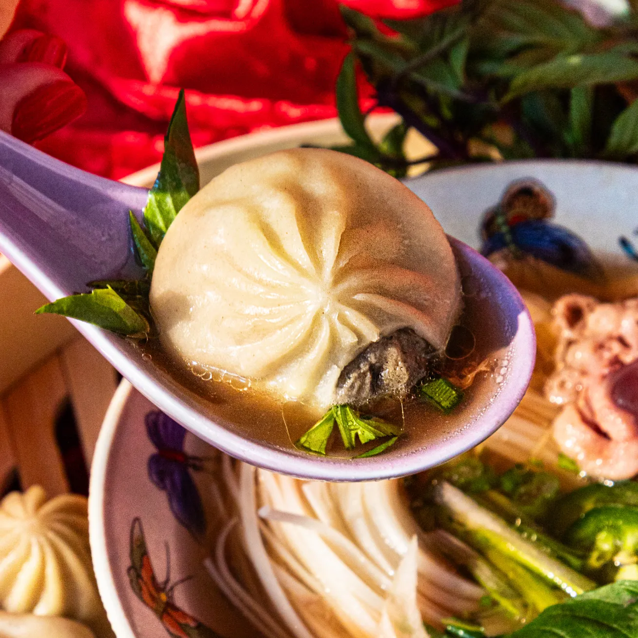 Soup Dumplings (50 PC)